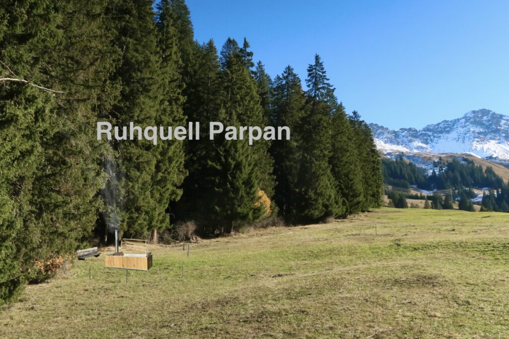 HotTub in schweizer Bergen. Grüne Umgebung