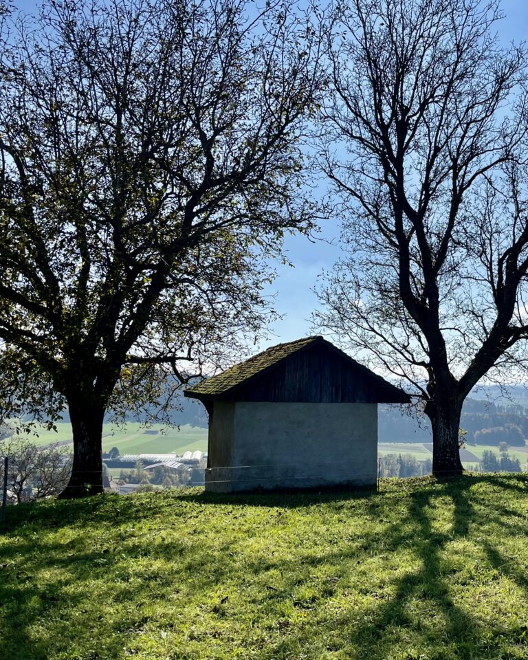 Bild für möglicher Ruhquell