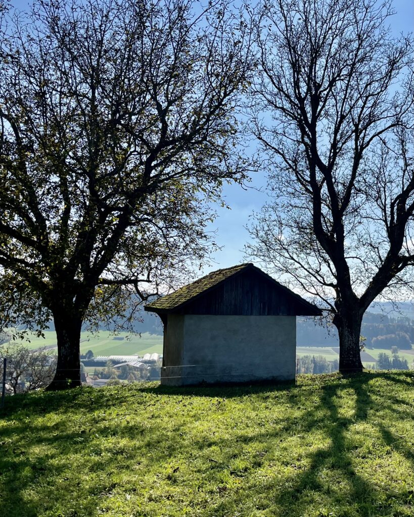 Bild für möglicher Ruhquell